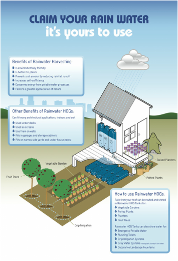 How to reuse rainwater for irrigation